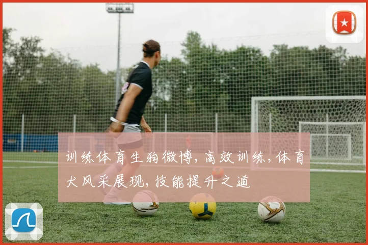 训练体育生狗微博,高效训练,体育犬风采展现,技能提升之道