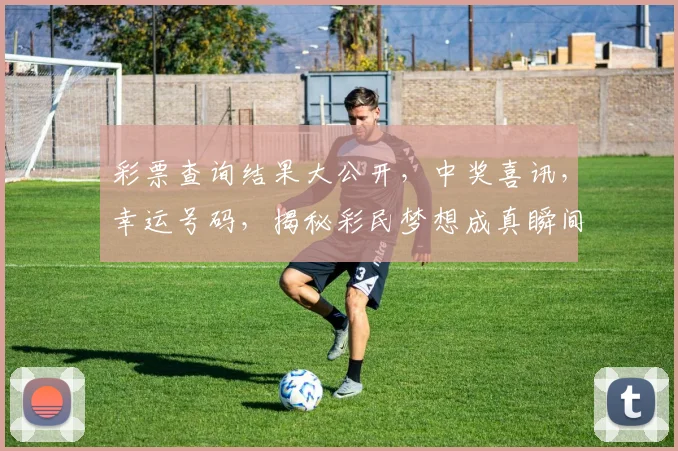 彩票查询结果大公开，中奖喜讯，幸运号码，揭秘彩民梦想成真瞬间，惊喜连连