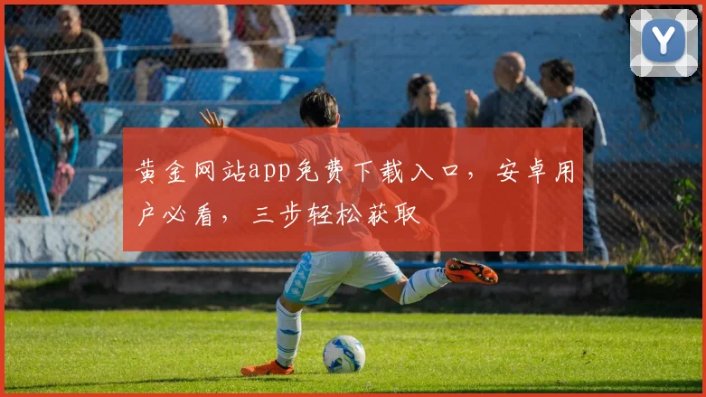 黄金网站app免费下载入口，安卓用户必看，三步轻松获取